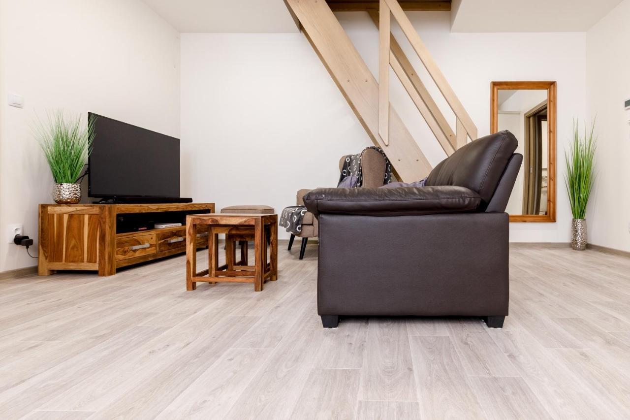Apartment Ness Boží Dar エクステリア 写真