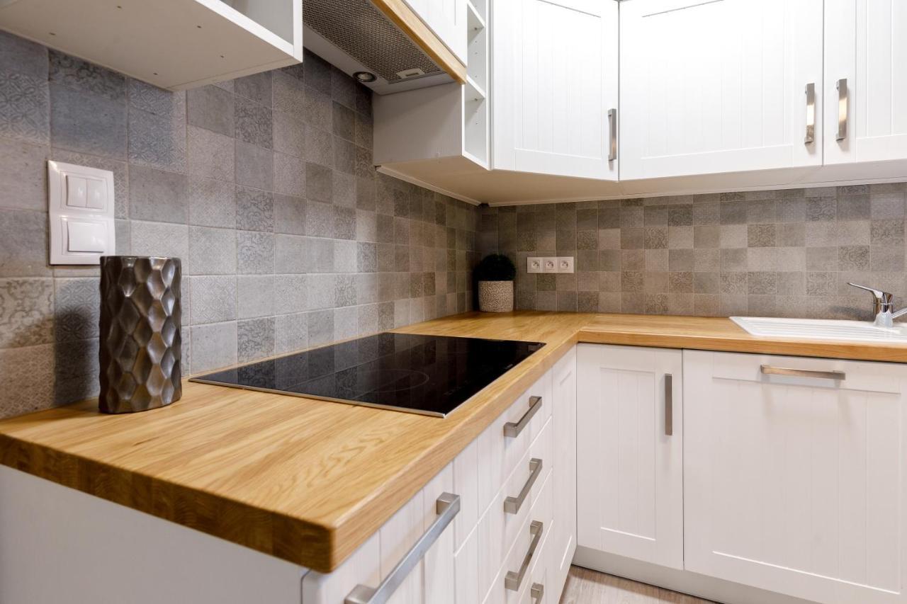 Apartment Ness Boží Dar エクステリア 写真