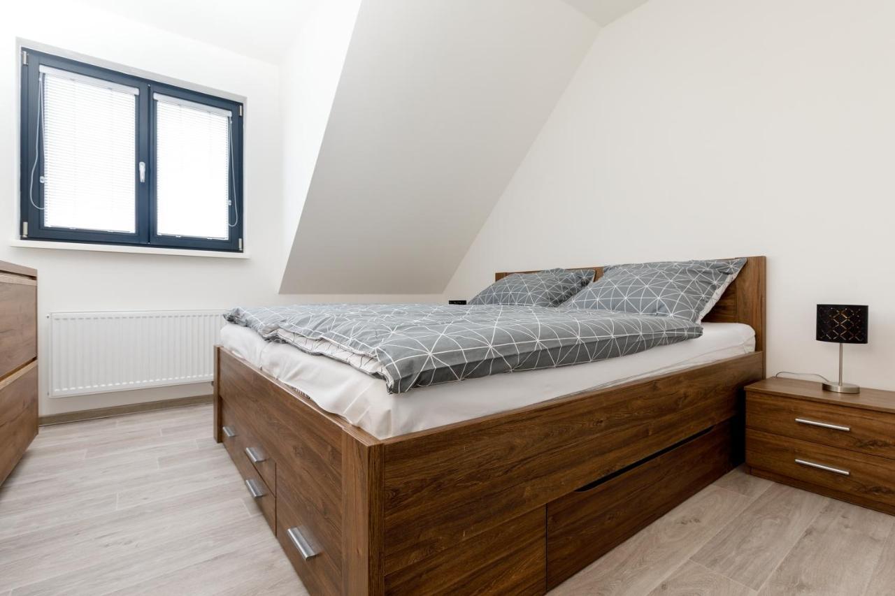 Apartment Ness Boží Dar エクステリア 写真