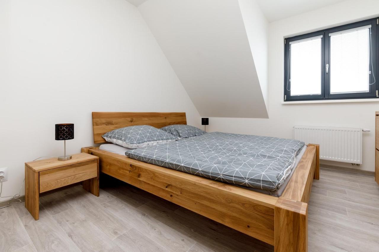Apartment Ness Boží Dar エクステリア 写真